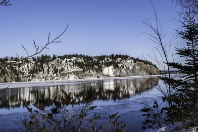 Reflection of trees in calm lake