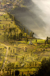 Aerial view of green landscape