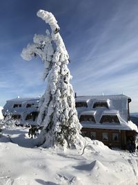 High angle view of snow covered mountain