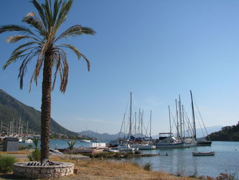 Sailboats moored in sea against clear blue sky