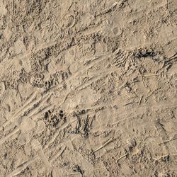 High angle view of tire tracks on sand