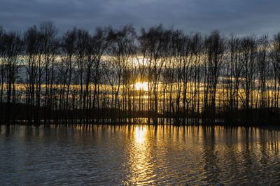 Silhouette trees by lake against sky during sunset