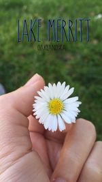 Close-up of woman holding daisy