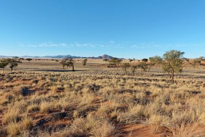 Scenic view of land against sky