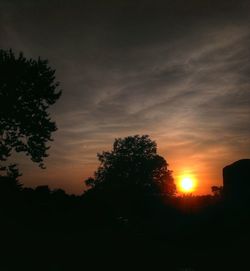 Silhouette of trees at sunset