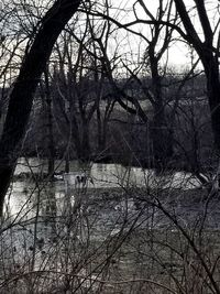 Bare trees by lake in forest against sky