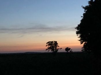 Silhouette trees on field against sky during sunset