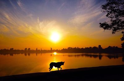 Scenic view of lake at sunset