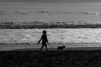 Full length of dog walking on beach