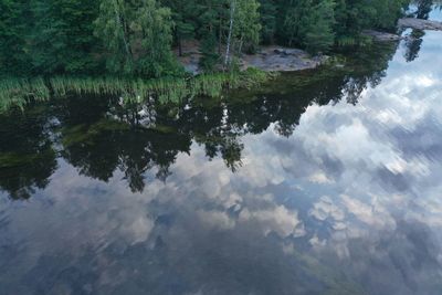 Reflection of trees in lake