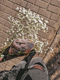 Low section of person by flowering plants