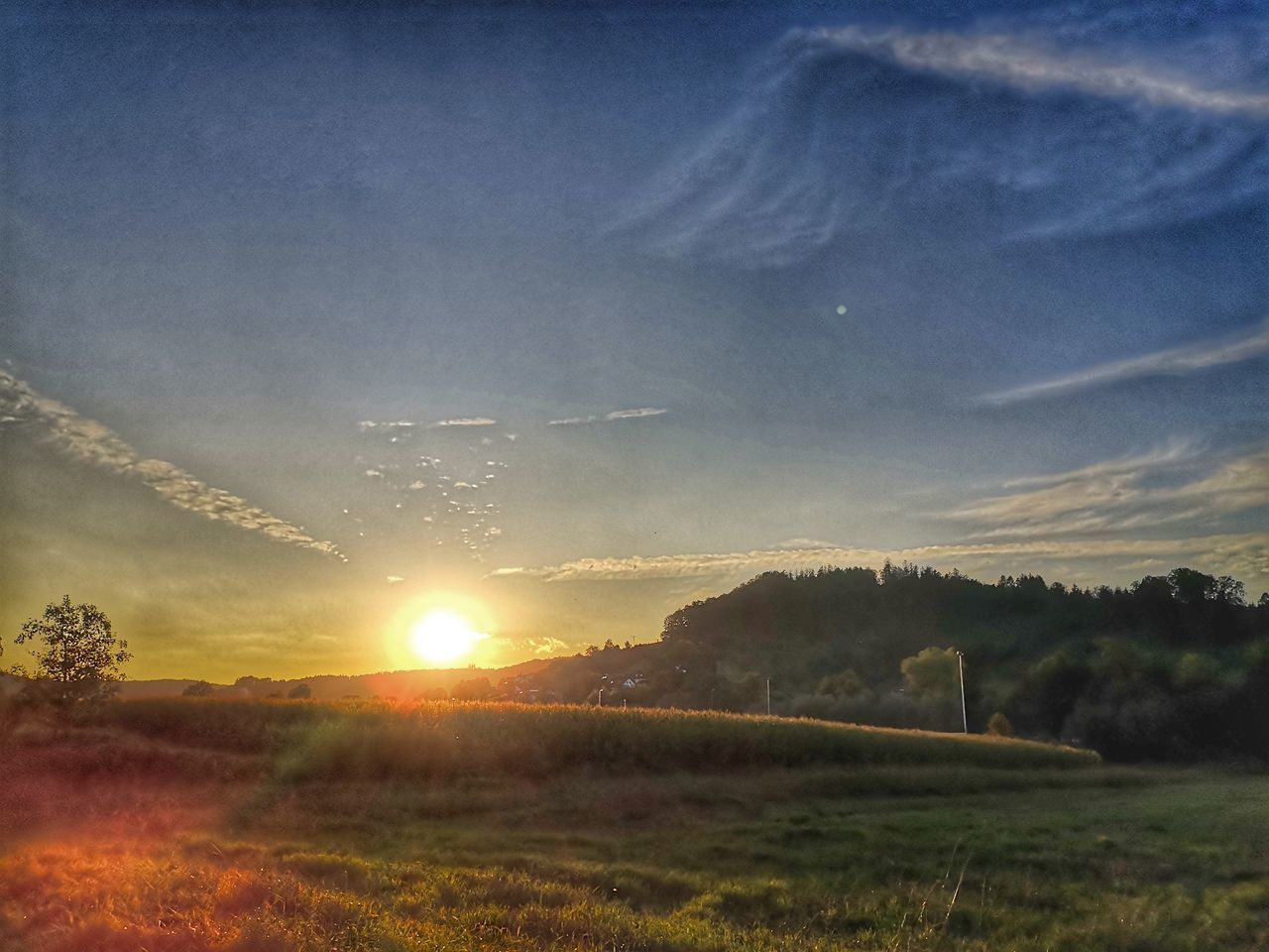 SCENIC VIEW OF FIELD AGAINST BRIGHT SKY