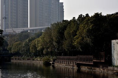 Trees by lake against buildings in city