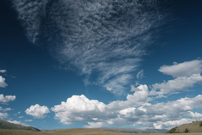 Low angle view of trees against sky