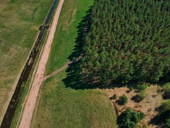 High angle view of road amidst field