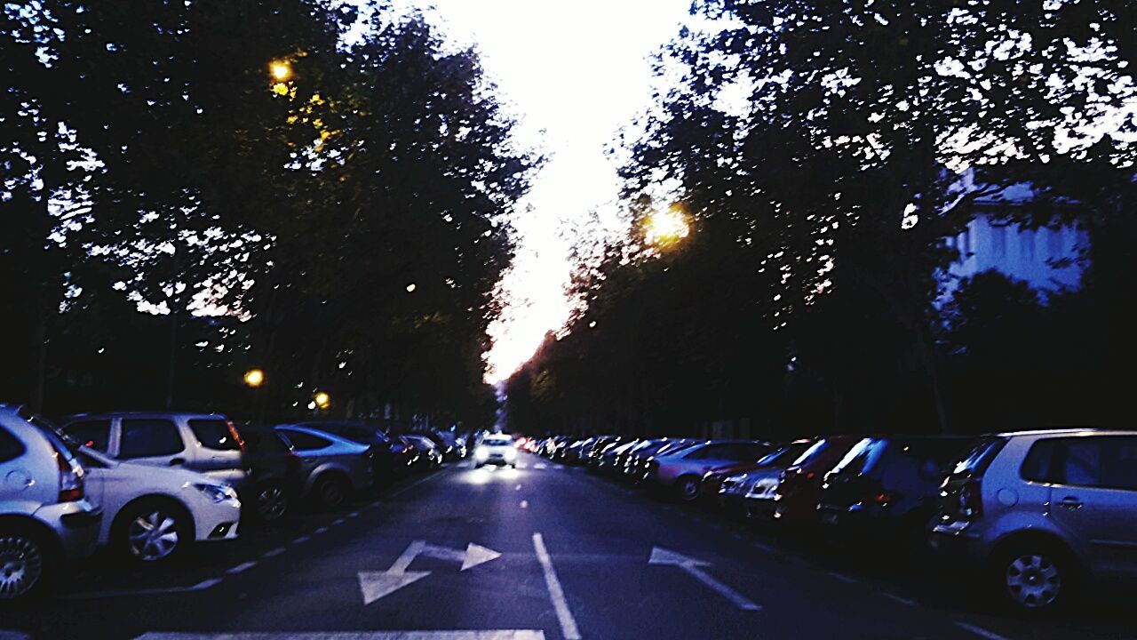 motor vehicle, car, mode of transportation, transportation, tree, land vehicle, road, plant, street, city, illuminated, road marking, symbol, marking, sign, the way forward, nature, no people, direction, motion, outdoors, treelined