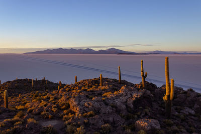 Scenic view of sea against clear sky during sunset