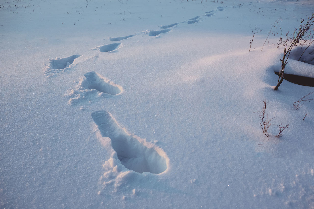 HIGH ANGLE VIEW OF FOOTPRINT ON SNOW COVERED FIELD