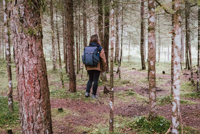 Rear view of woman standing in forest