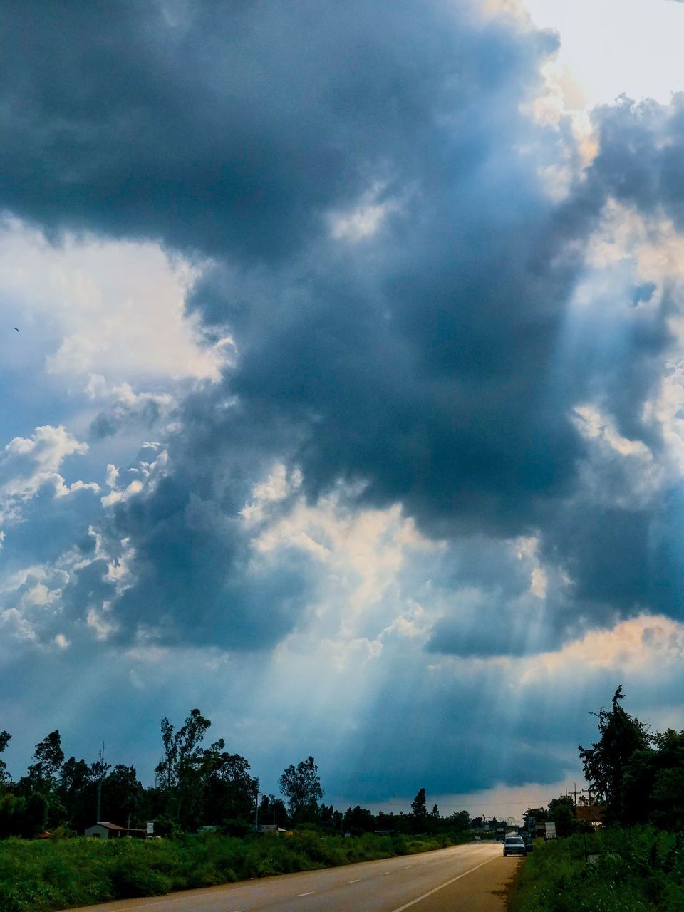 TREES ON FIELD AGAINST CLOUDY SKY