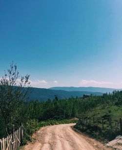 Scenic view of trees against blue sky