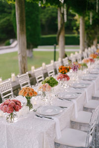 View of potted plants on table