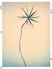 auto post production filter