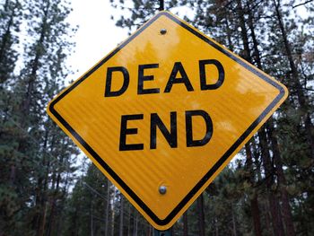 Close-up of road sign against trees