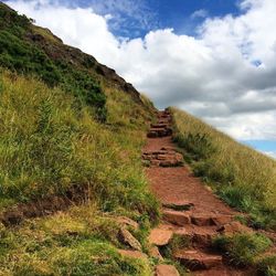 Footpath amidst plants on field against sky