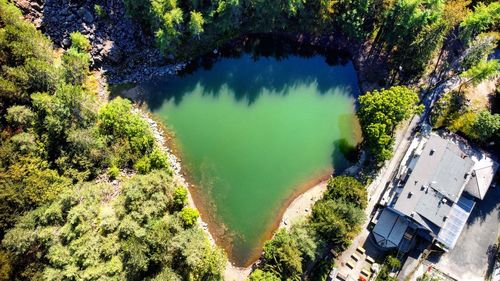 High angle view of river amidst trees