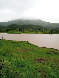 Scenic view of landscape against sky