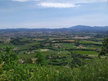 Scenic view of agricultural field against sky