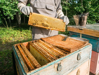 Cropped hand of man working at farm