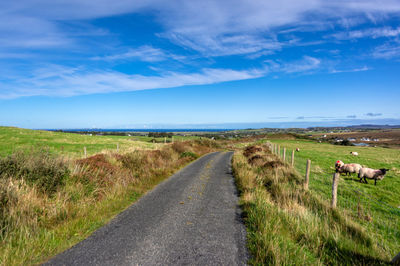 Dirt road amidst field against sky