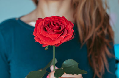 Close-up of red rose against blurred background