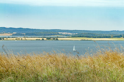 Scenic view of lake by field against sky