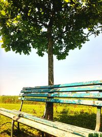Park bench in park