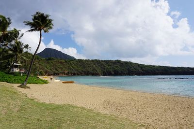 Scenic view of beach against sky