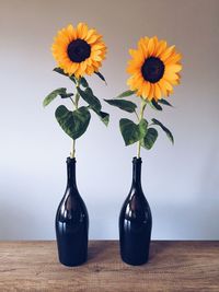 Close-up of flowers in vase