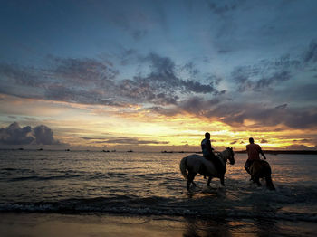 Silhouette man riding horses on beach against sky during sunset