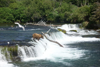 View of waterfall in sea