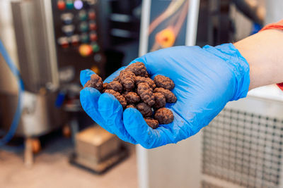 Manufacturin for automatic production of chocolate. worker holds blanks of chocolate candies in his 