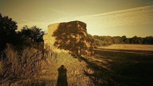 Scenic view of field against sky during sunset