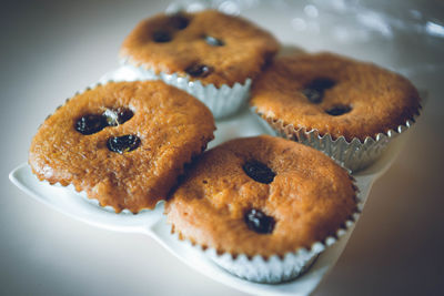 High angle view of cupcakes in plate