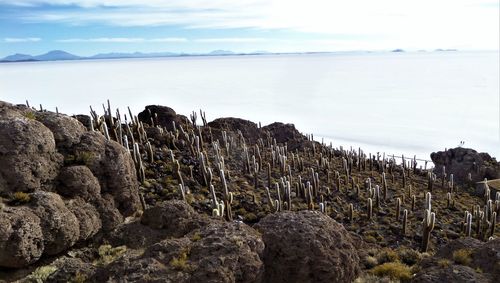 Salar de bolivia 