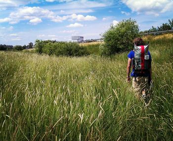 Rear view of man in wheat field against sky