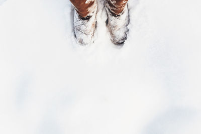 Low section of person on snow covered field