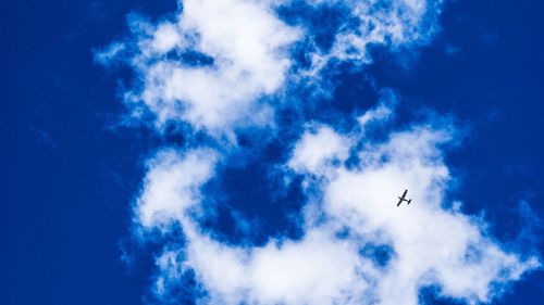 Low angle view of airplane flying against sky