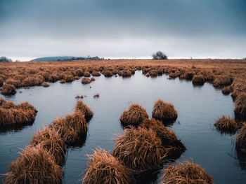 Scenic view of lake against sky