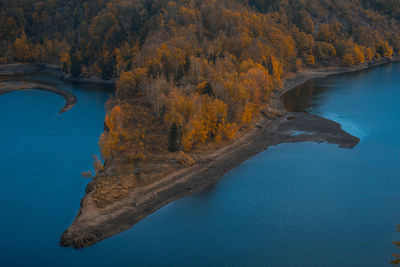 Scenic view of lake by trees during autumn